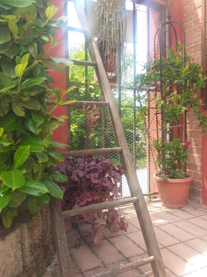 Mosci'S Bed & Beer Bed & Breakfast San Damiano d'Asti Exterior photo